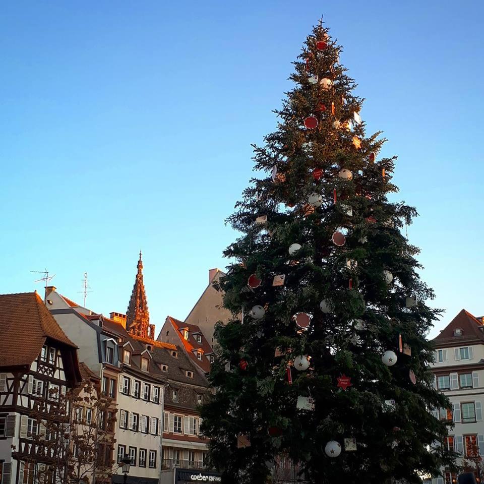Premiere Classe Strasbourg Sud - Illkirch Eksteriør bilde